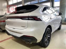 دونج فينج T5 EVO